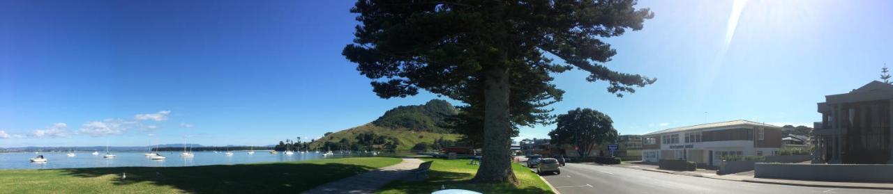 Westhaven Motel Tauranga Esterno foto